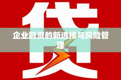 边坝企业融资的新选择与风险管理
