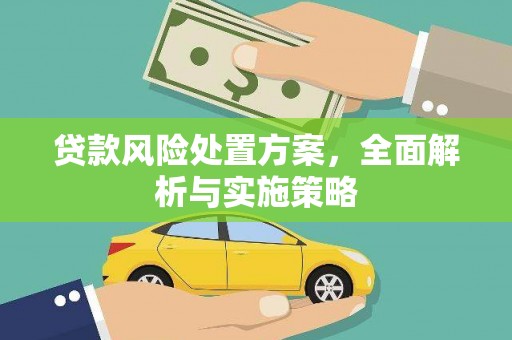 边坝贷款风险处置方案，全面解析与实施策略