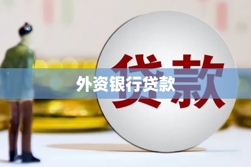 边坝外资银行贷款