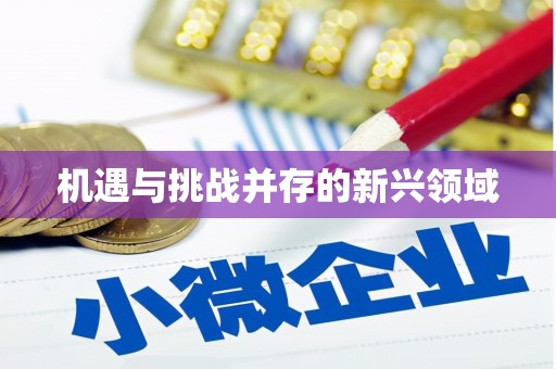 边坝机遇与挑战并存的新兴领域