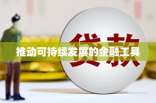 边坝推动可持续发展的金融工具