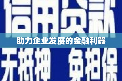 边坝助力企业发展的金融利器