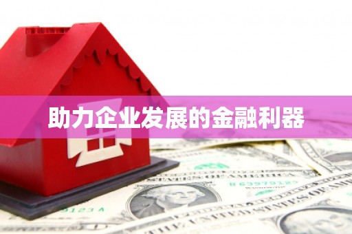 边坝助力企业发展的金融利器