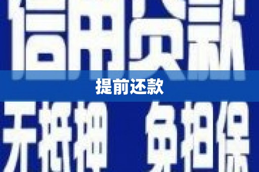 边坝提前还款