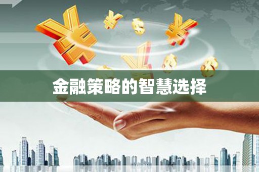 边坝金融策略的智慧选择