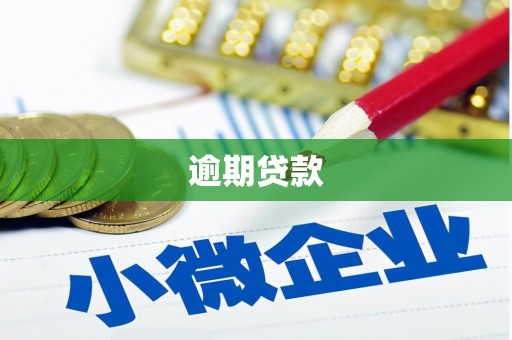 边坝逾期贷款
