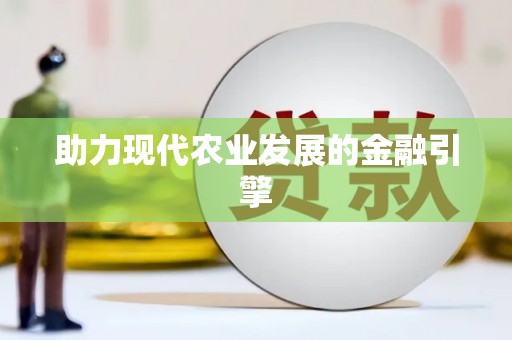 边坝助力现代农业发展的金融引擎