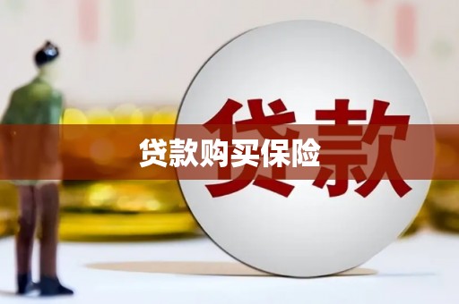 边坝贷款购买保险