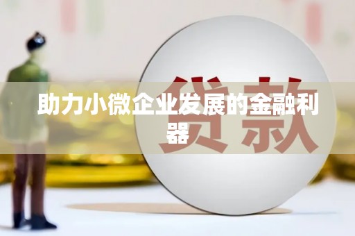 边坝助力小微企业发展的金融利器
