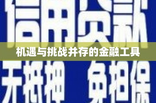 边坝机遇与挑战并存的金融工具