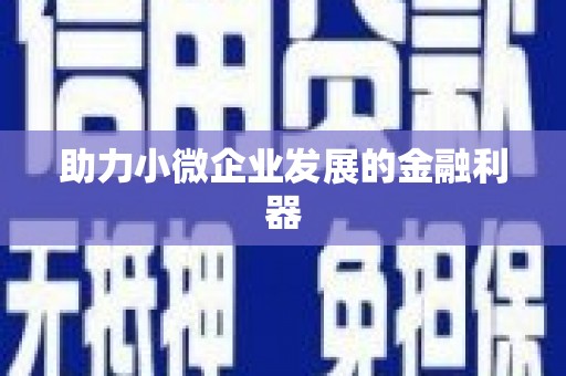 边坝助力小微企业发展的金融利器