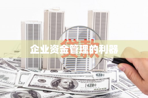 边坝企业资金管理的利器