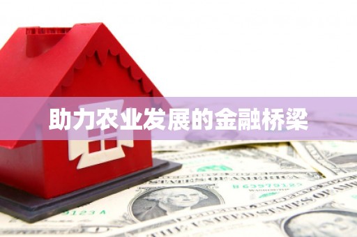 边坝助力农业发展的金融桥梁