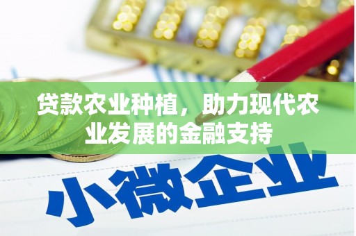 边坝贷款农业种植，助力现代农业发展的金融支持