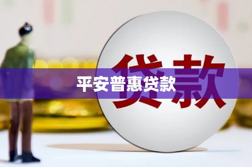 边坝平安普惠贷款