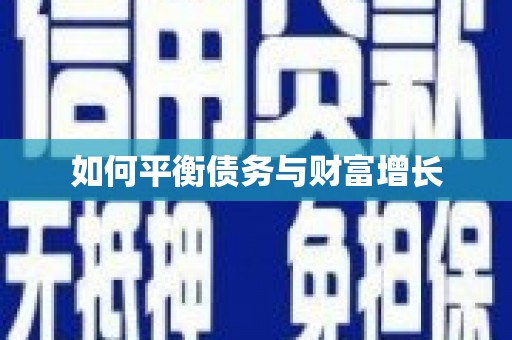 边坝如何平衡债务与财富增长