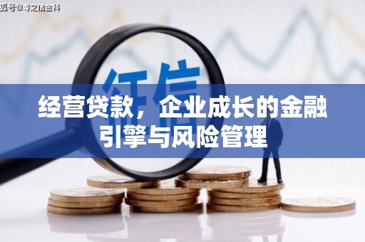 边坝经营贷款，企业成长的金融引擎与风险管理