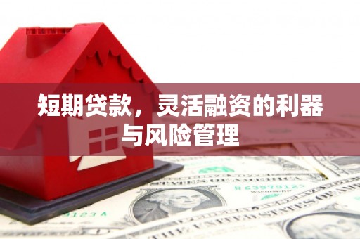 边坝短期贷款，灵活融资的利器与风险管理