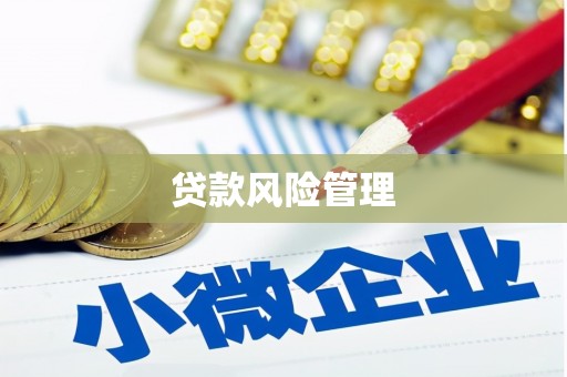 边坝贷款风险管理