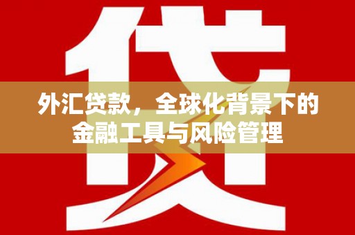 边坝外汇贷款，全球化背景下的金融工具与风险管理