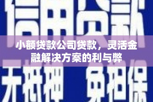 边坝小额贷款公司贷款，灵活金融解决方案的利与弊