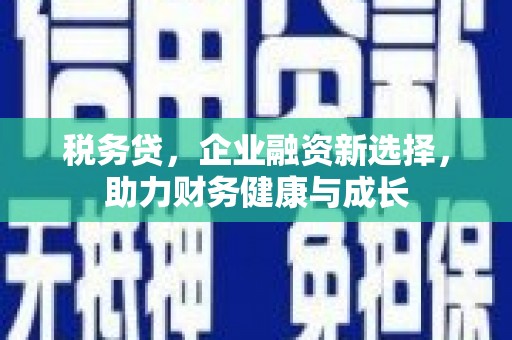 边坝税务贷，企业融资新选择，助力财务健康与成长
