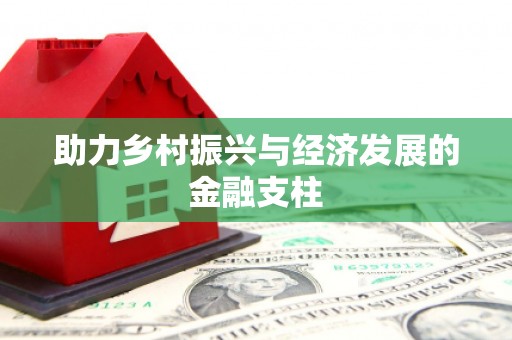 边坝助力乡村振兴与经济发展的金融支柱
