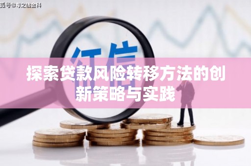 边坝探索贷款风险转移方法的创新策略与实践