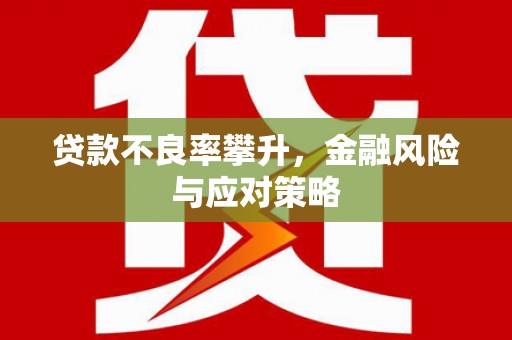 边坝贷款不良率攀升，金融风险与应对策略