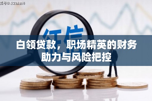 边坝白领贷款，职场精英的财务助力与风险把控