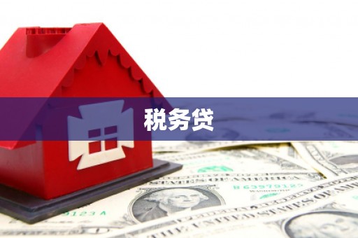 边坝税务贷