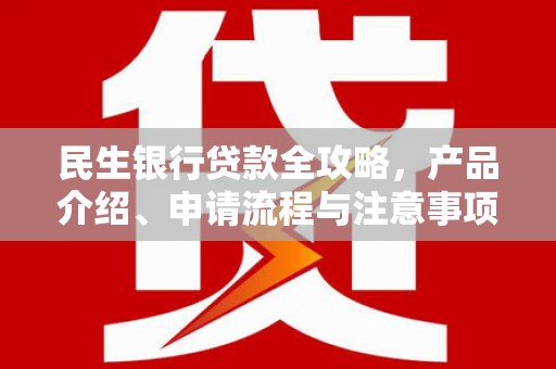 边坝民生银行贷款全攻略，产品介绍、申请流程与注意事项