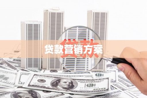边坝贷款营销方案