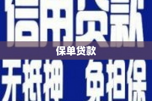 边坝保单贷款
